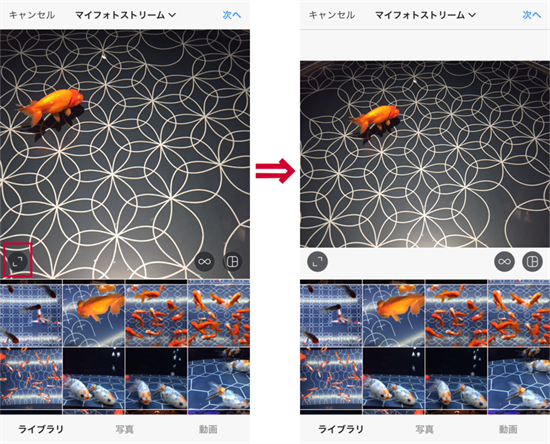 長方形画像もそのまま投稿 Instagram投稿に最適な画像サイズとは