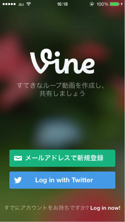 vine_2